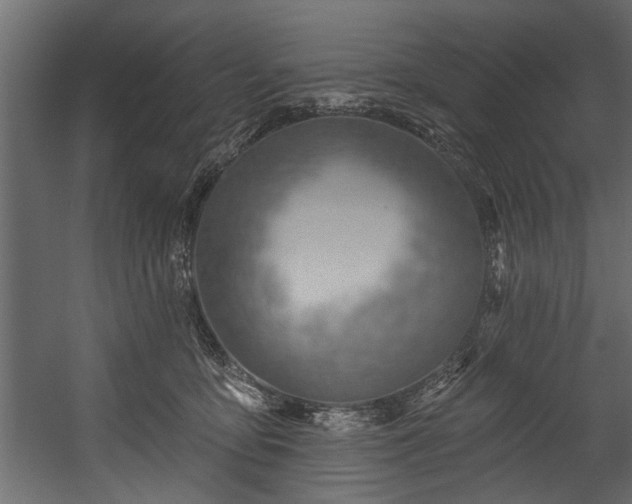 X0000054420419200508011402