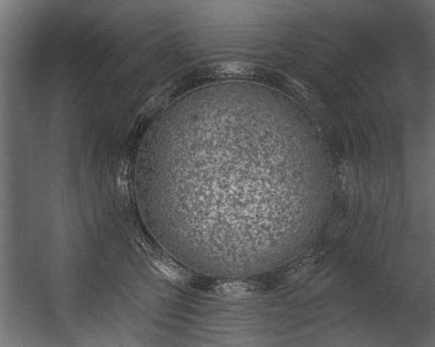 X0000054420423200508011402