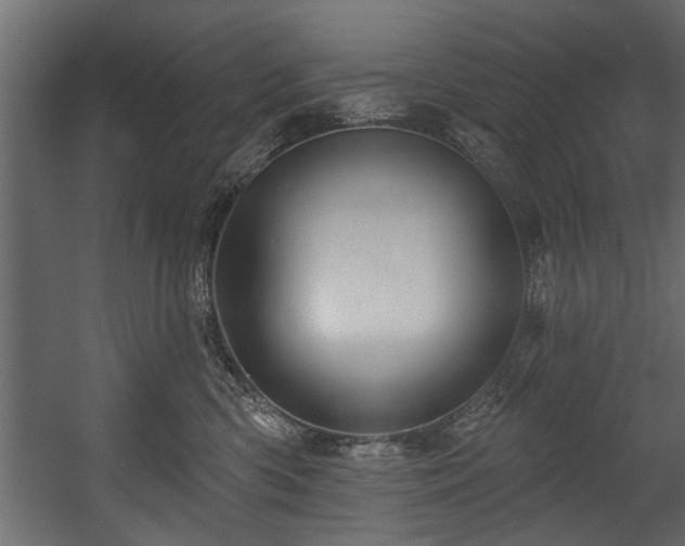 X0000054420426200508011402