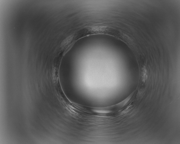 X0000054420428200508011402