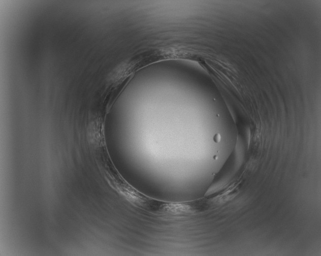 X0000054420429200508011402