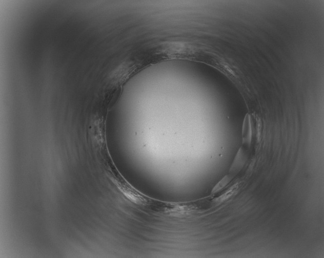 X0000054420430200508011402