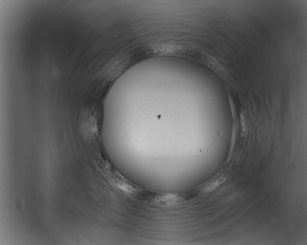 X0000054420431200508011402