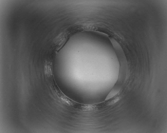 X0000054420432200508011402