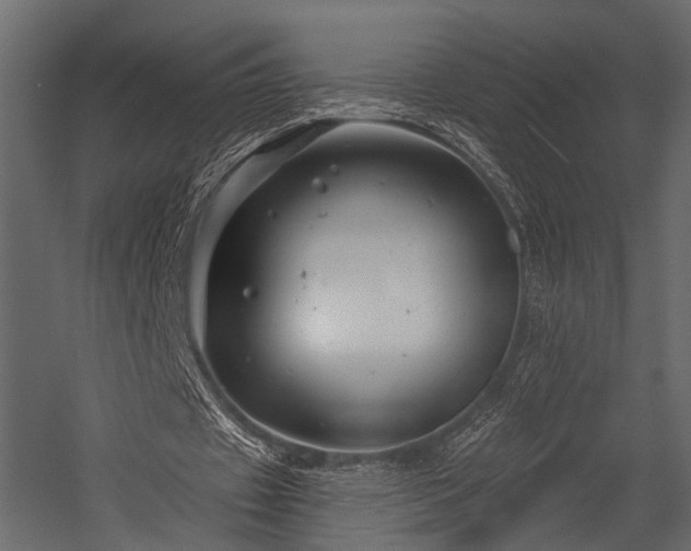 X0000054420433200508011401