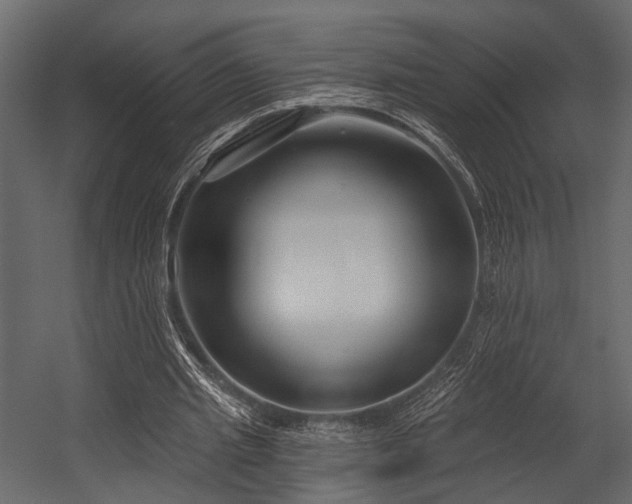 X0000054420437200508011401