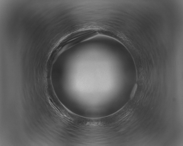 X0000054420440200508011401