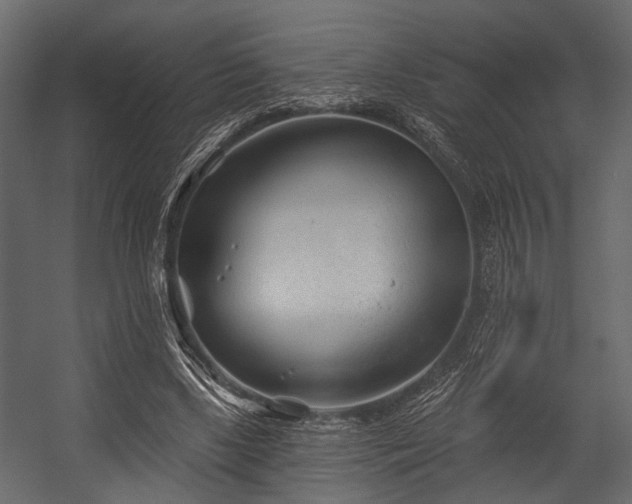 X0000054420443200508011401