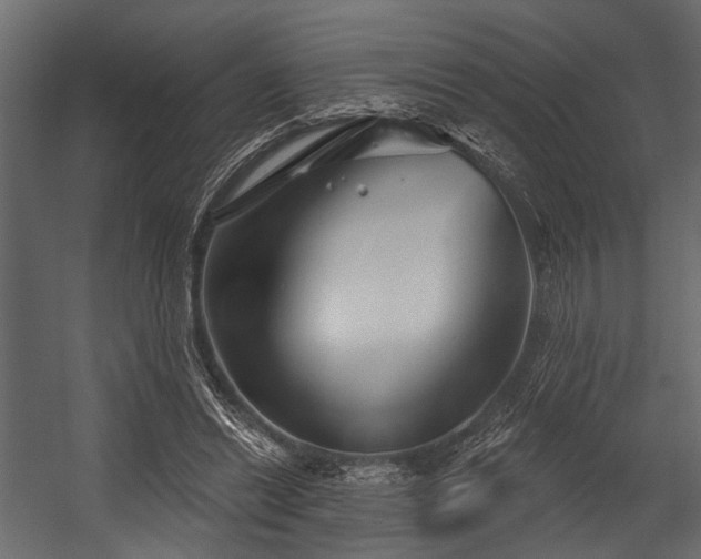 X0000054420446200508011402