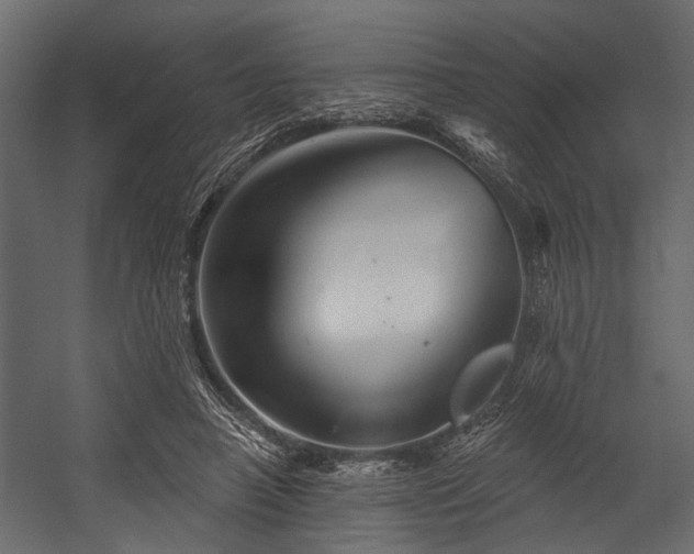 X0000054420450200508011402