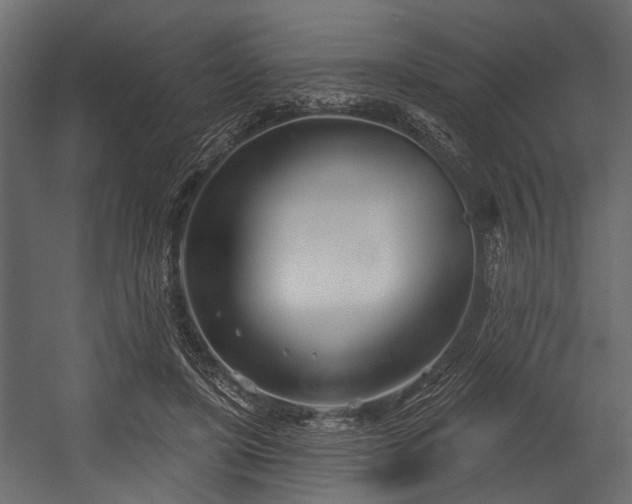 X0000054420451200508011402