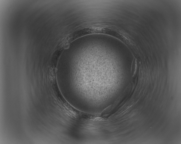 X0000054420467200508011402