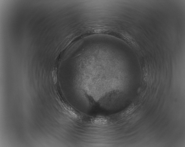 X0000054420471200508011402