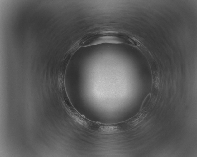 X0000054420476200508011402