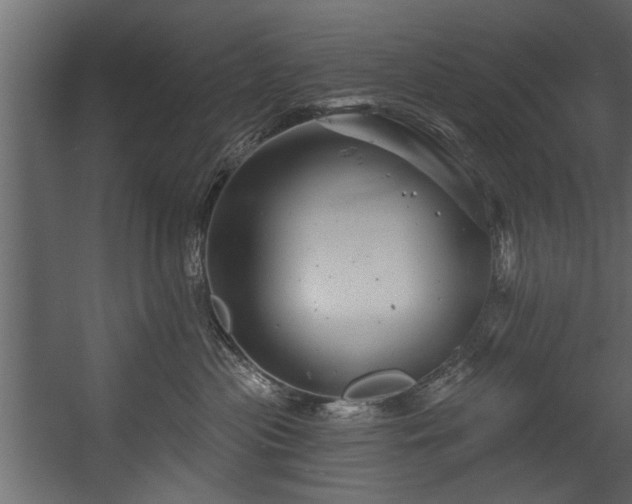 X0000054420477200508011402