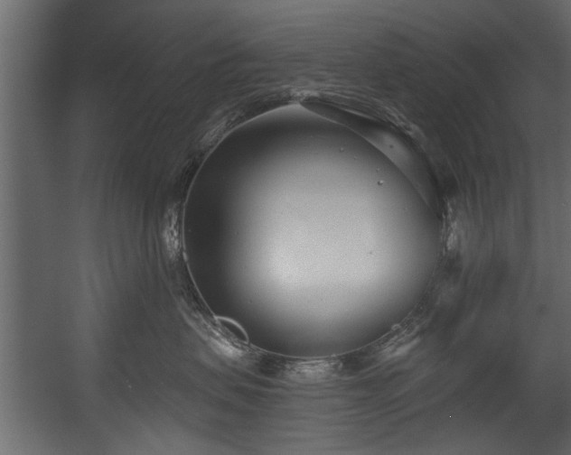 X0000054420479200508011402