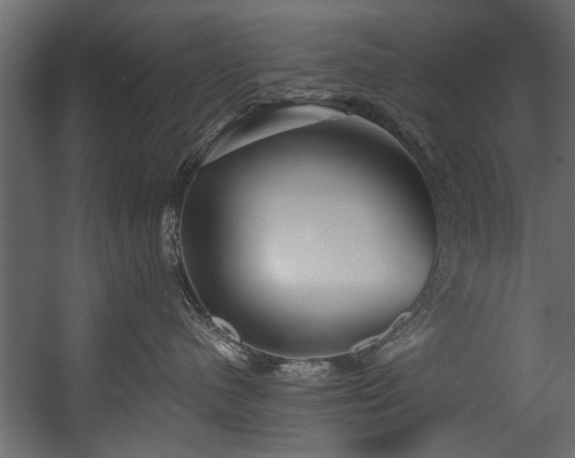 X0000054420480200508011402