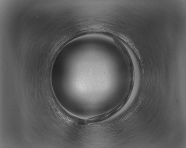 X0000054420481200508011401