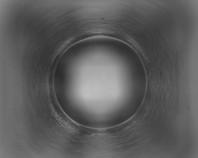 X0000054420482200508011401