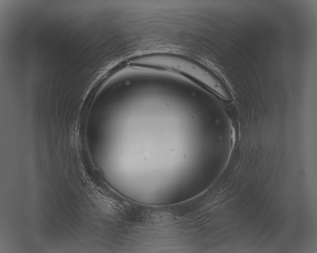 X0000054420483200508011401