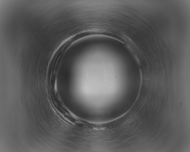 X0000054420484200508011401