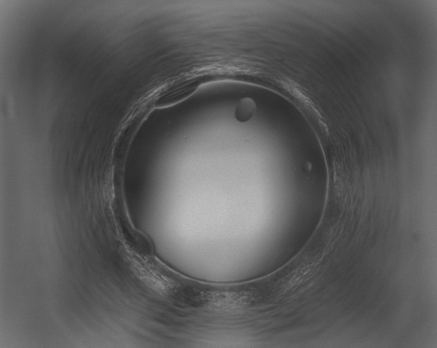 X0000054420486200508011401