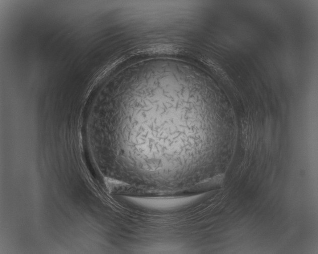 X0000054420487200508011401