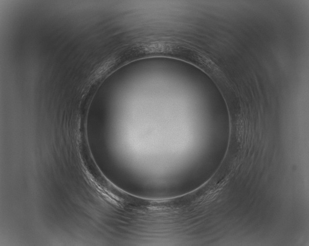 X0000054420490200508011401