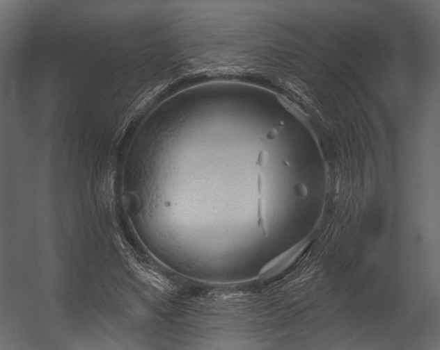 X0000054420491200508011401