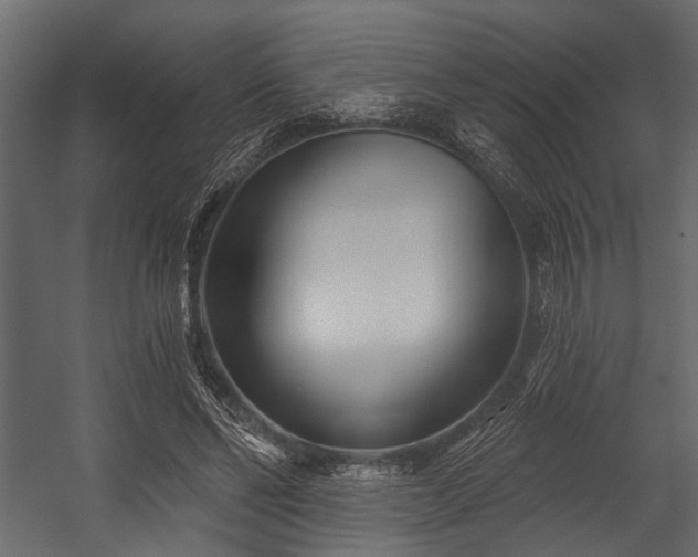 X0000054420494200508011401