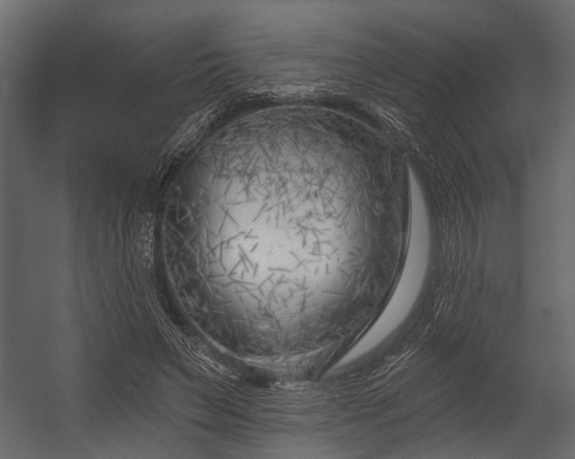 X0000054420495200508011401