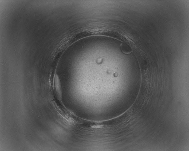 X0000054420499200508011401