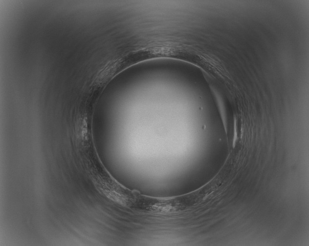 X0000054420502200508011401