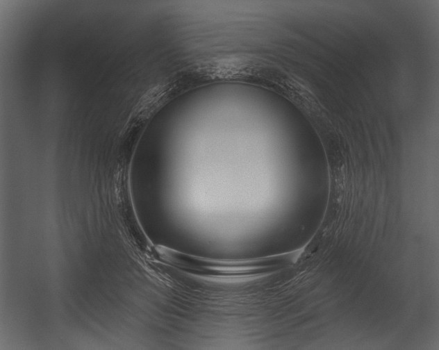 X0000054420503200508011401