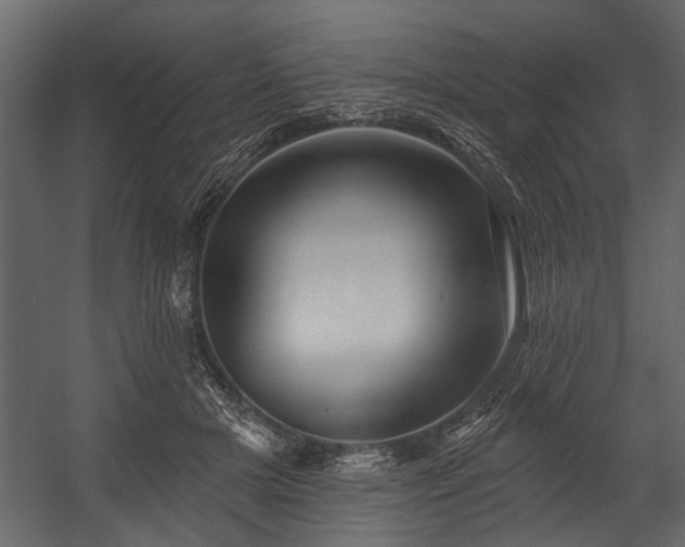 X0000054420505200508011401