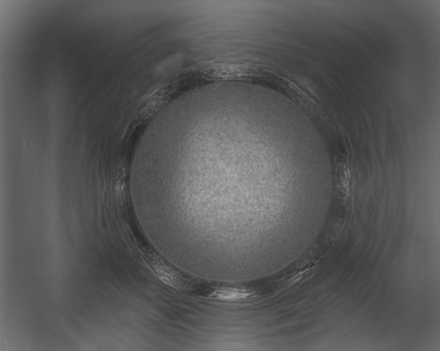 X0000054420507200508011401