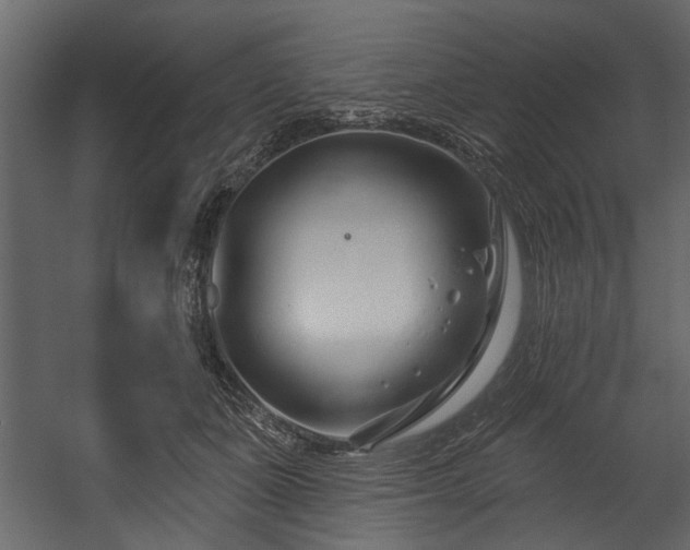 X0000054420511200508011401