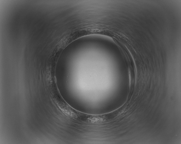 X0000054420512200508011401