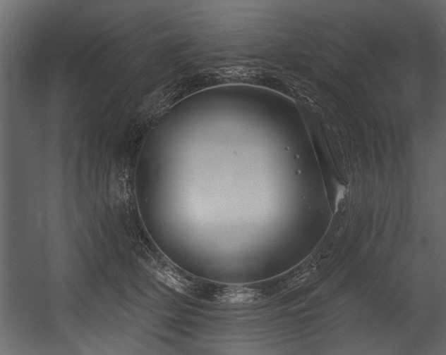 X0000054420514200508011401