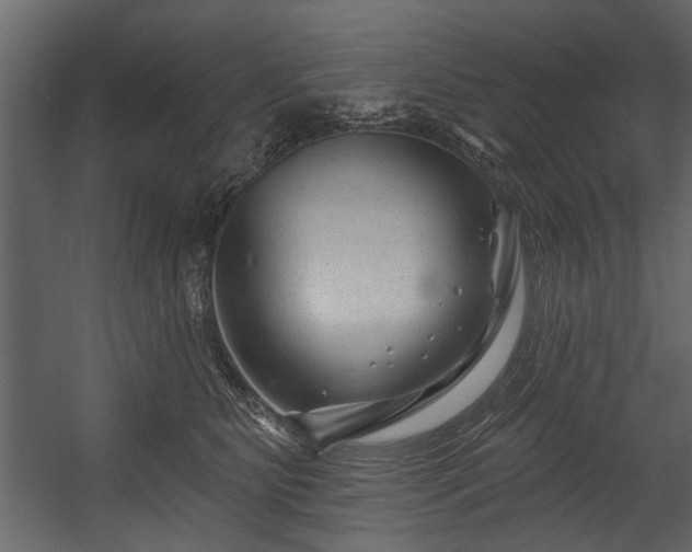 X0000054420515200508011401