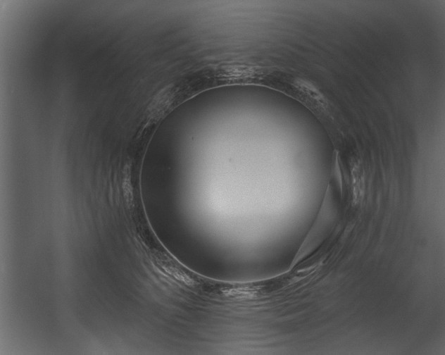 X0000054420516200508011401