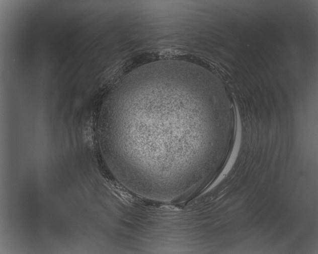 X0000054420519200508011401