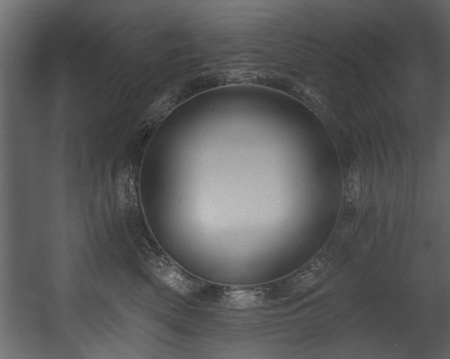 X0000054420522200508011401