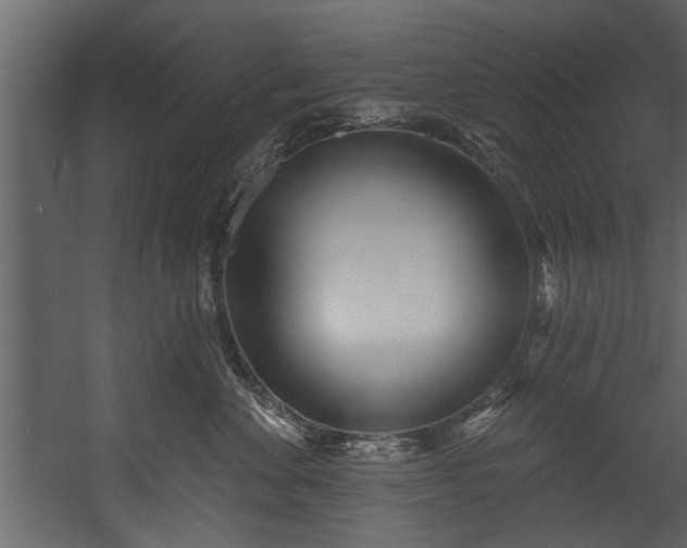 X0000054420524200508011401