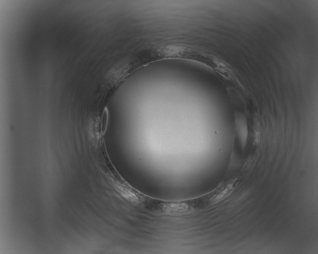 X0000054420525200508011401