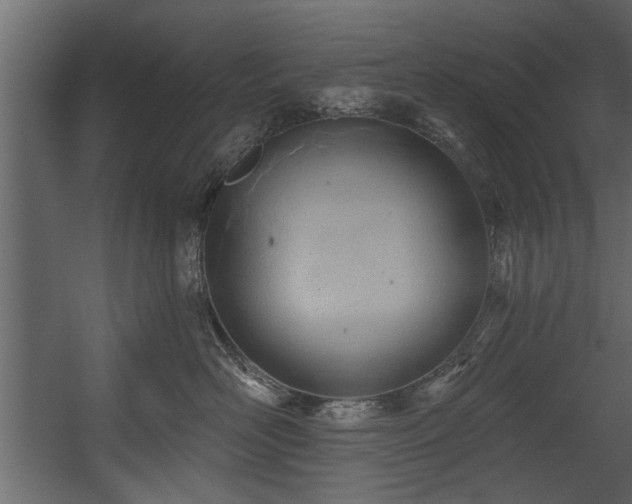 X0000054420526200508011401