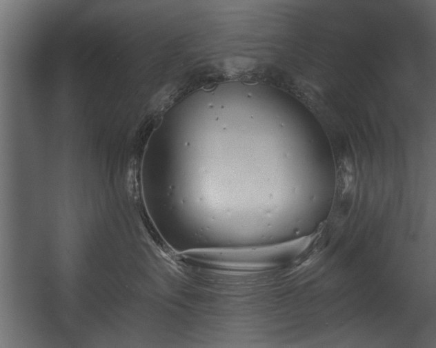 X0000054420527200508011401