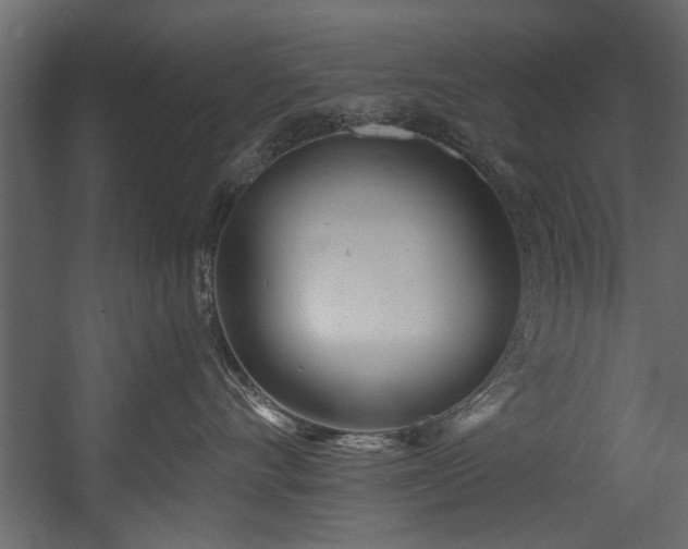 X0000054420528200508011400