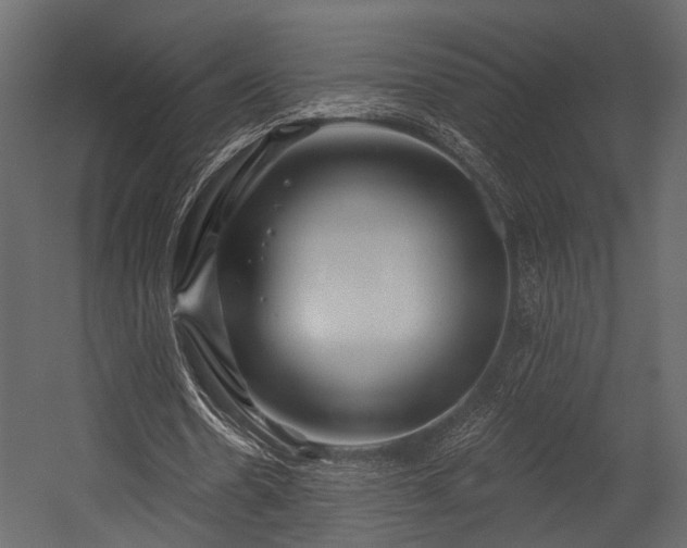 X0000054420530200508011400