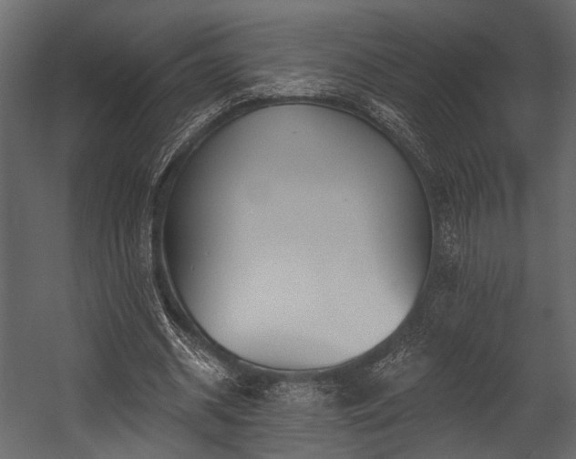 X0000054420534200508011400